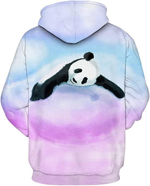 Cute Panda Hug Hooded Pullover Novelty Hoodie for Mens Womens