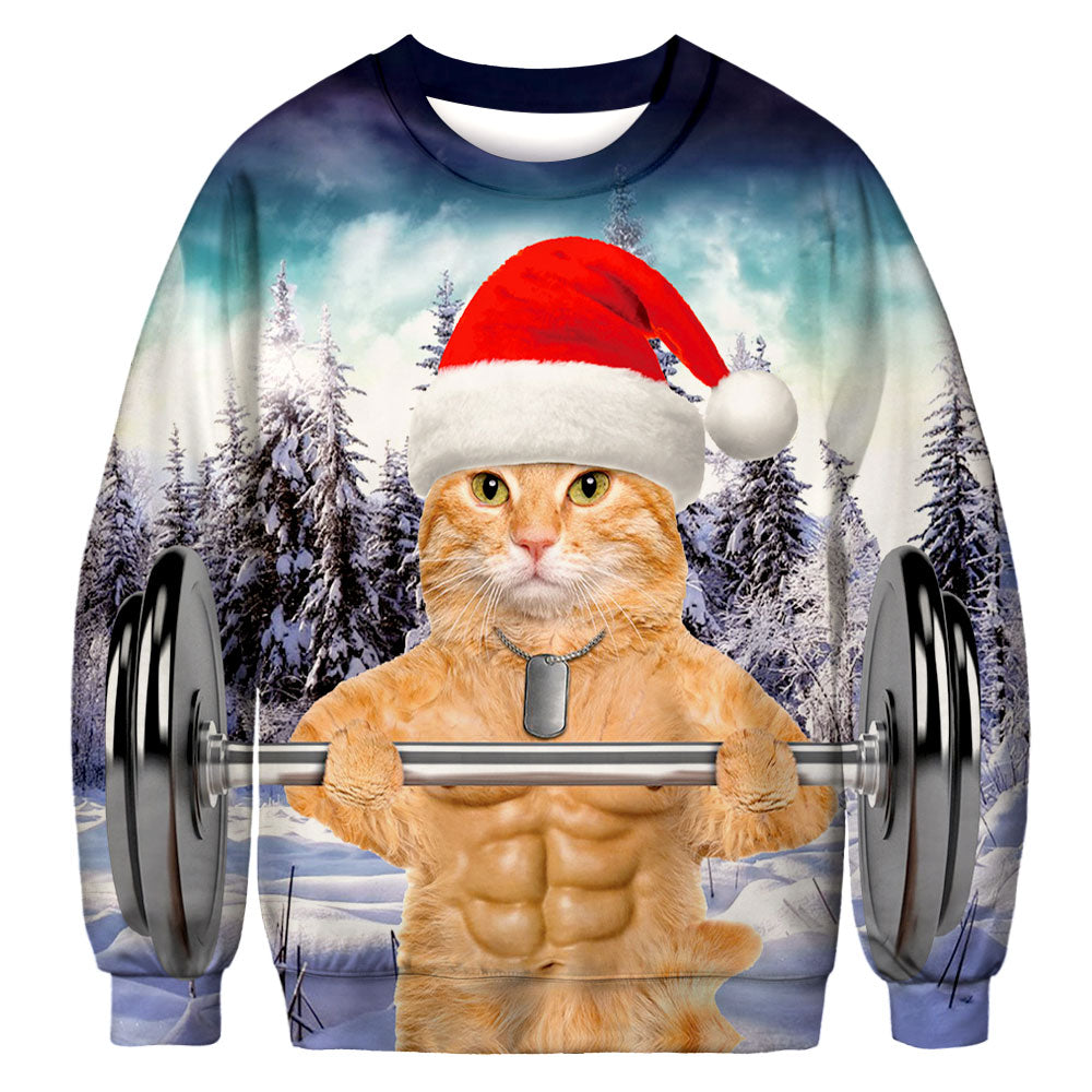 Christmas Sweatshirts - Funny Christmas Cat Cute Icon 3D Sweatshirt